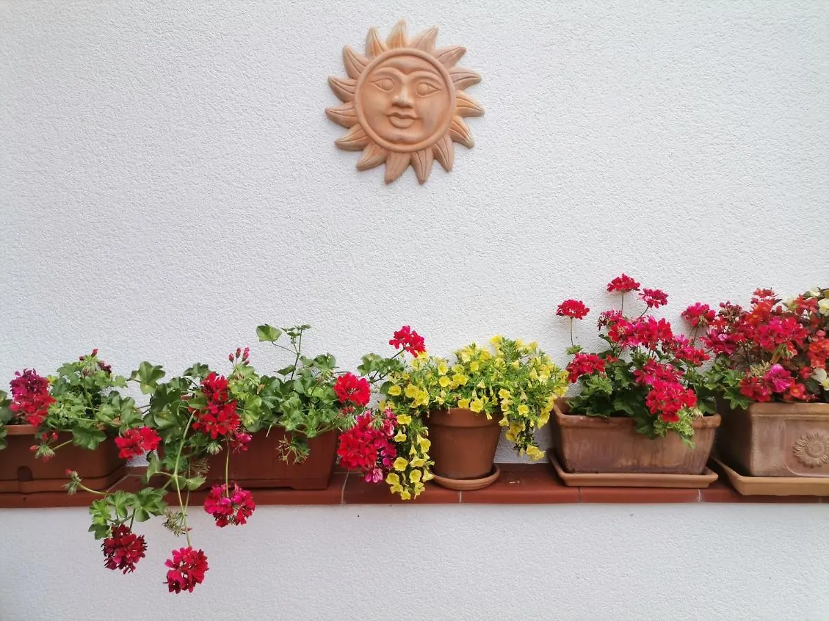 Apartment Mirna Umag