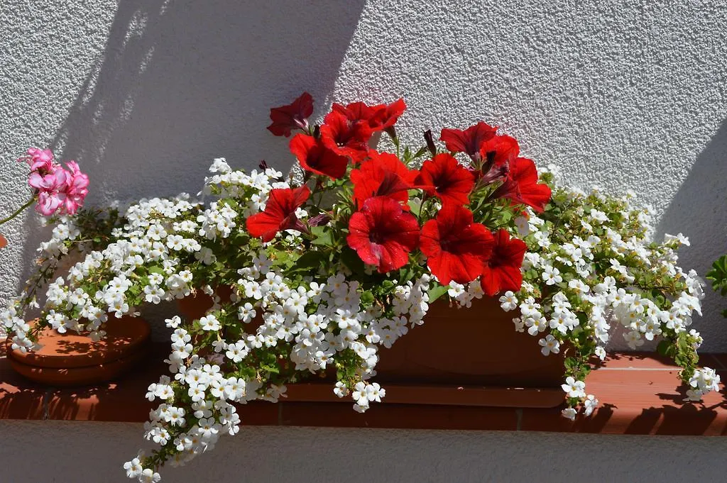 Apartment Mirna Umag